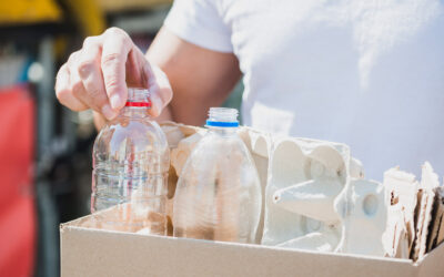 5 DE JUNIO: UN WEBINAR PARA CONCIENTIZAR SOBRE LA IMPORTANCIA DEL RECICLAJE