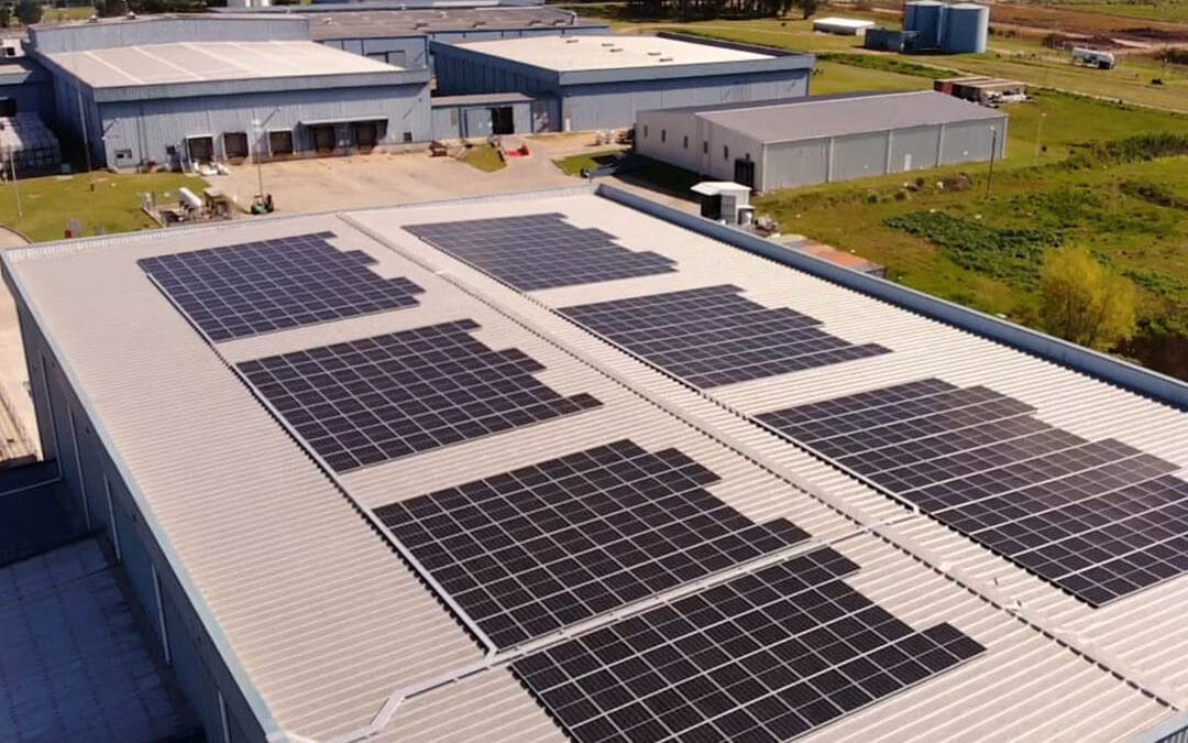 El futuro energético ya dice presente en el predio industrial de Darnel.