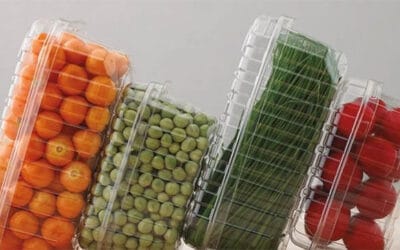 Darnel en El Observador