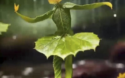 En Darnel nos unimos al Arte de Eliseo para cuidar el planeta