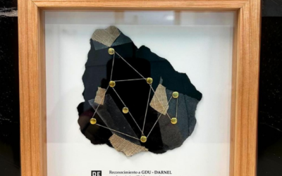 🌍 ¡Darnel, junto a Grupo Disco Uruguay, son reconocidos por segundo año consecutivo en los Reconocimientos DERES 2024! 🏆