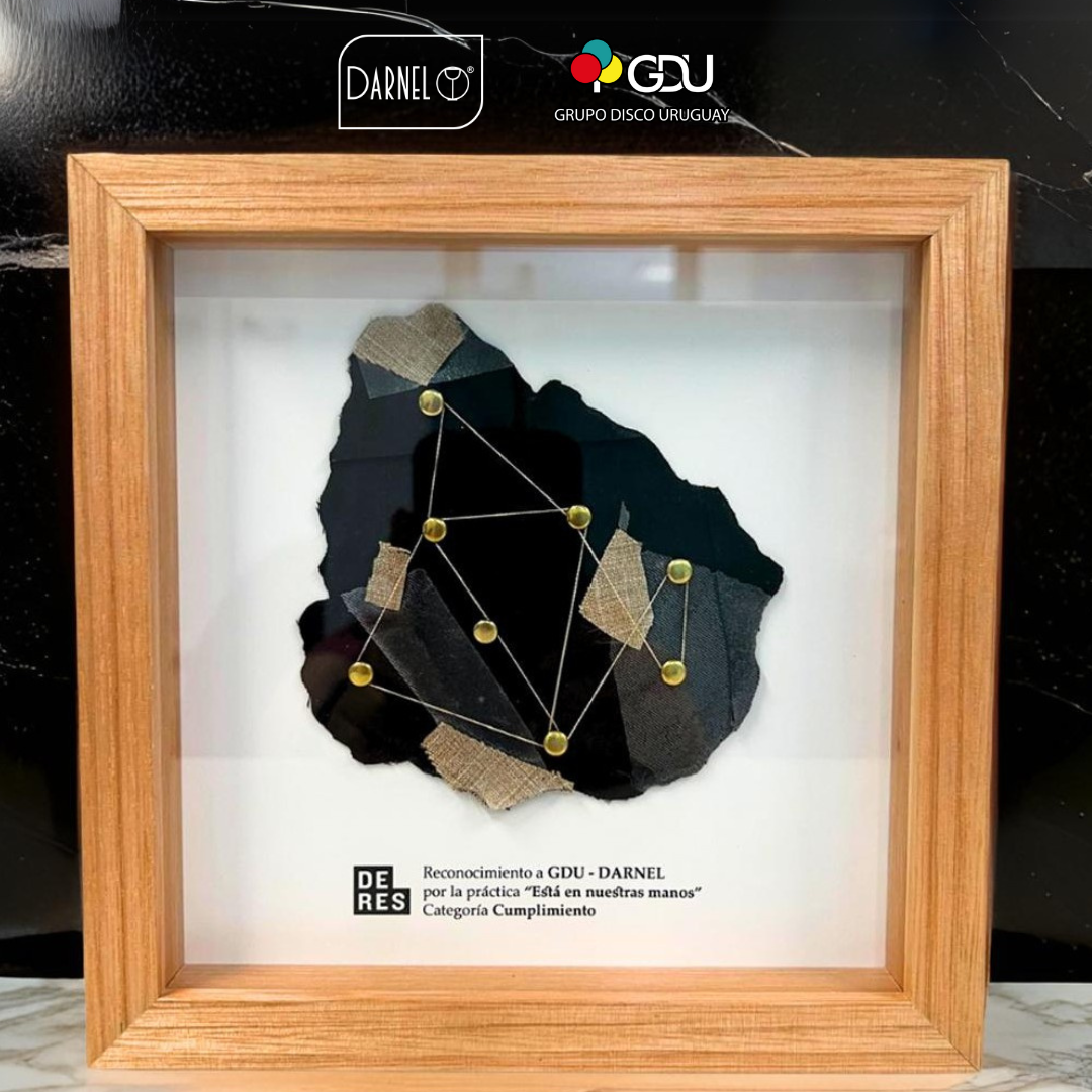 🌍 ¡Darnel, junto a Grupo Disco Uruguay, son reconocidos por segundo año consecutivo en los Reconocimientos DERES 2024! 🏆