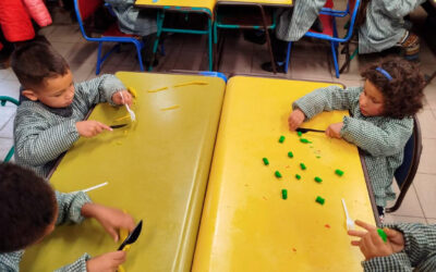 Impulsando el futuro desde hoy