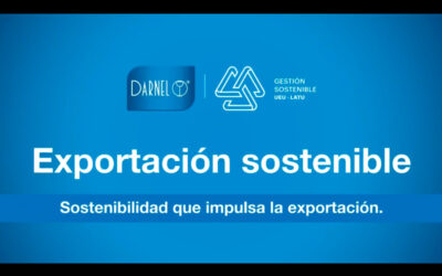 Gestión sostenible: una mirada hacia el mundo