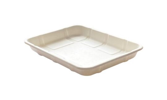 Bandeja Bagazo Caña DarnelNaturals 242x182x28mm